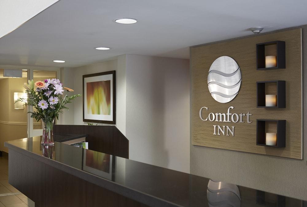 Comfort Inn Swift Current Kültér fotó