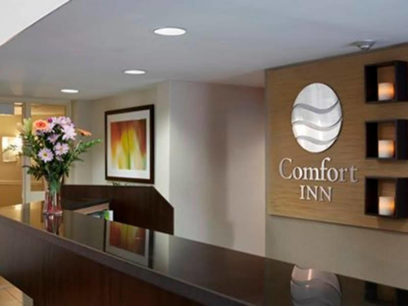 Comfort Inn Swift Current Kültér fotó